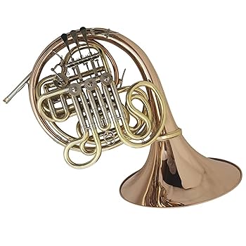 Amazon | 初心者フレンチホルン F/Bb トーン ダブルフレンチ